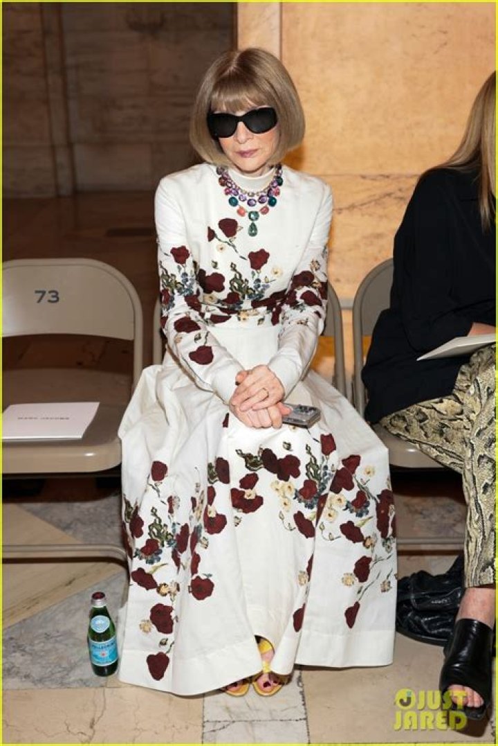 Аnna Wintour photo 4/16