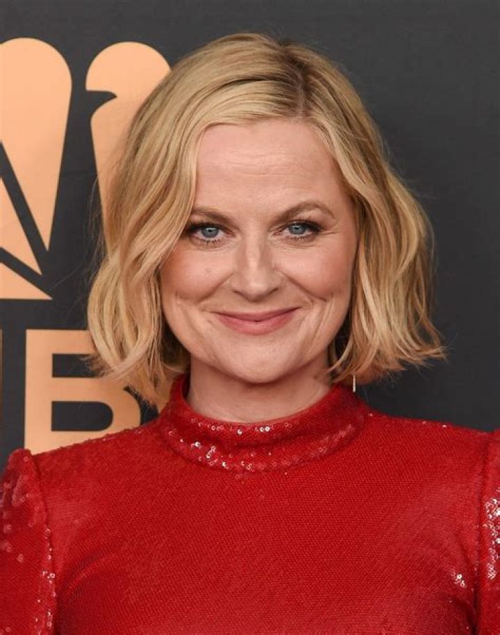 11 Pictures of Amy Poehler When She Was Young