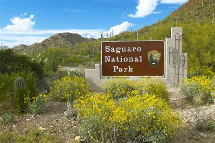 2 Saguaro National Park Districts in 1 Incredible Itinerary The Wordy