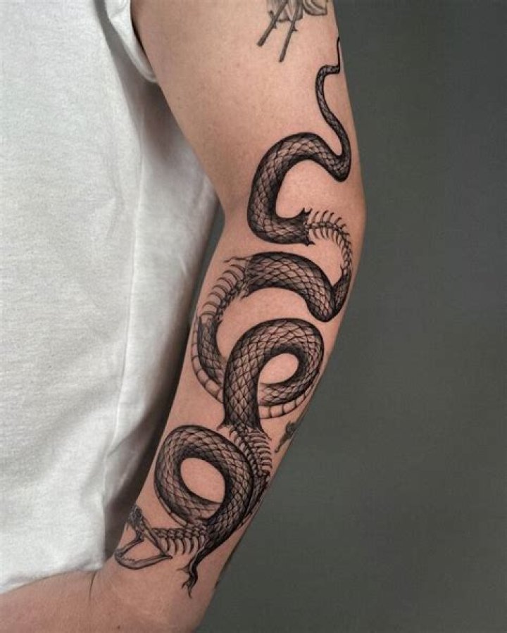 28 Snake Tattoos On Sleeve Arm Tattoo Designs & Ideas PetPress
