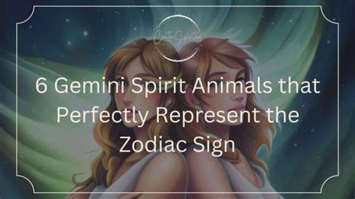 3 Gemini Spirit Animal Representing The Gemini Zodiac Sign