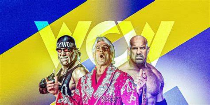 3223 The WCW Video by Permission from Axel Vasa