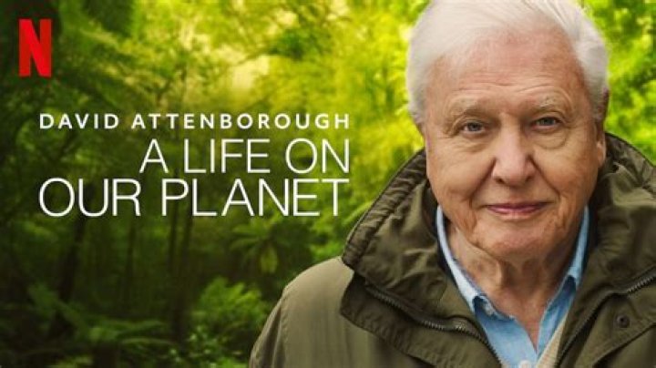 3454. Film Review David Attenborough A Life on Our