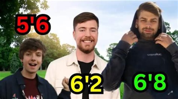 ☑ How tall is chandler hallow from mr beast ann's blog