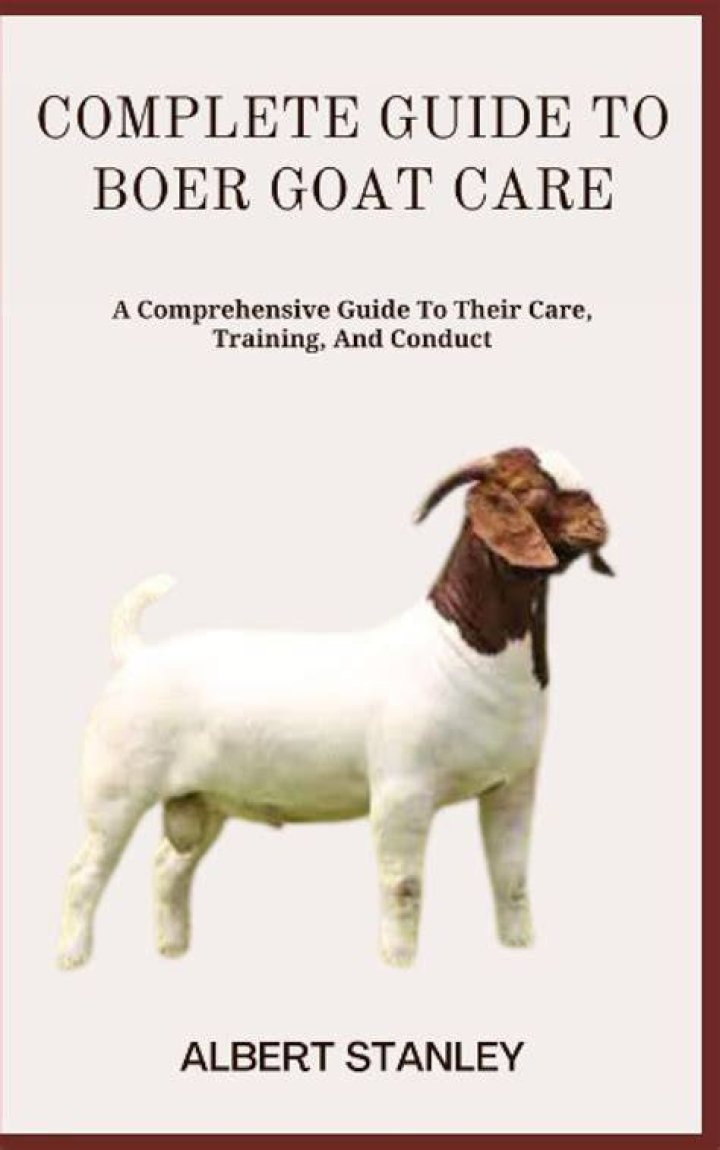 A Comprehensive Guide To Offers On GOAT