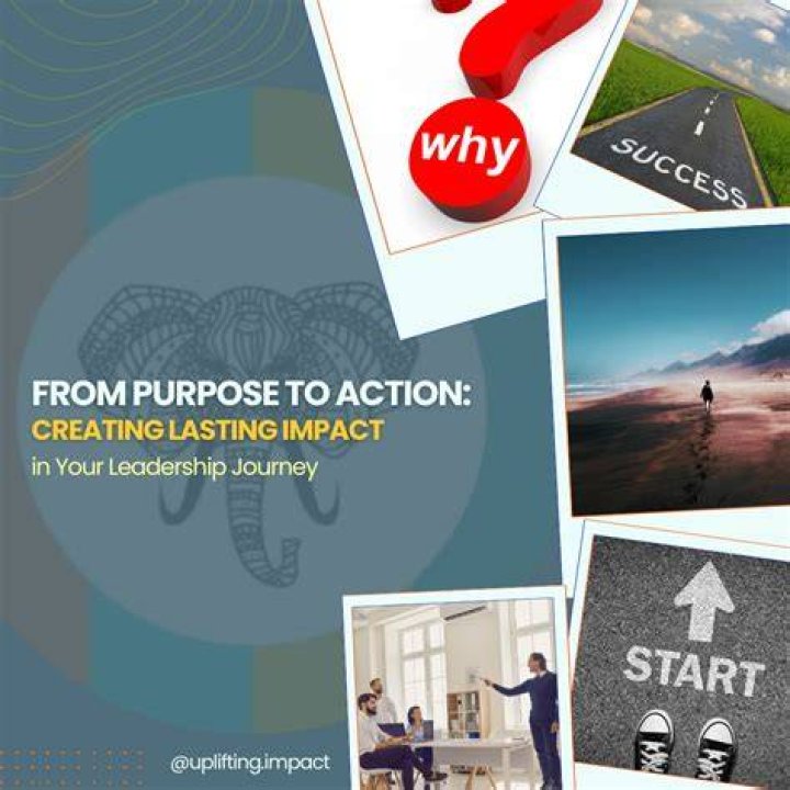 A Journey Into Cause And Impact