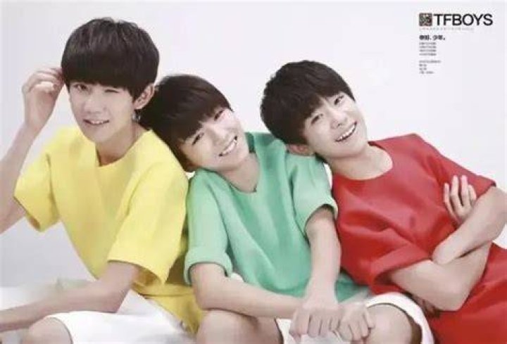 A Journey Through Movies, TFBoys, Net Worth, And Dating