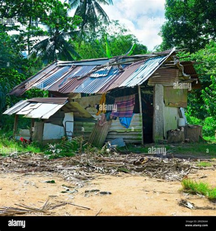 a small hut in the middle of a forest with trees and grass covering it