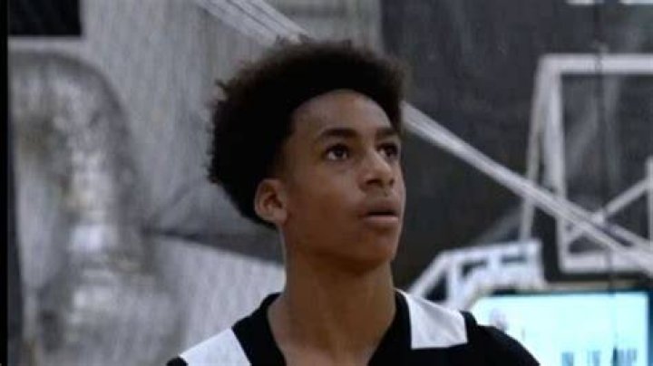 Aloni Arenas Net Worth How Much is Arenas Worth?