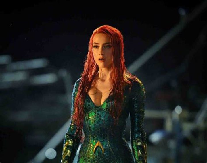 Amber Heard Bio, Career, Facts, Relation, Net Worth 2020
