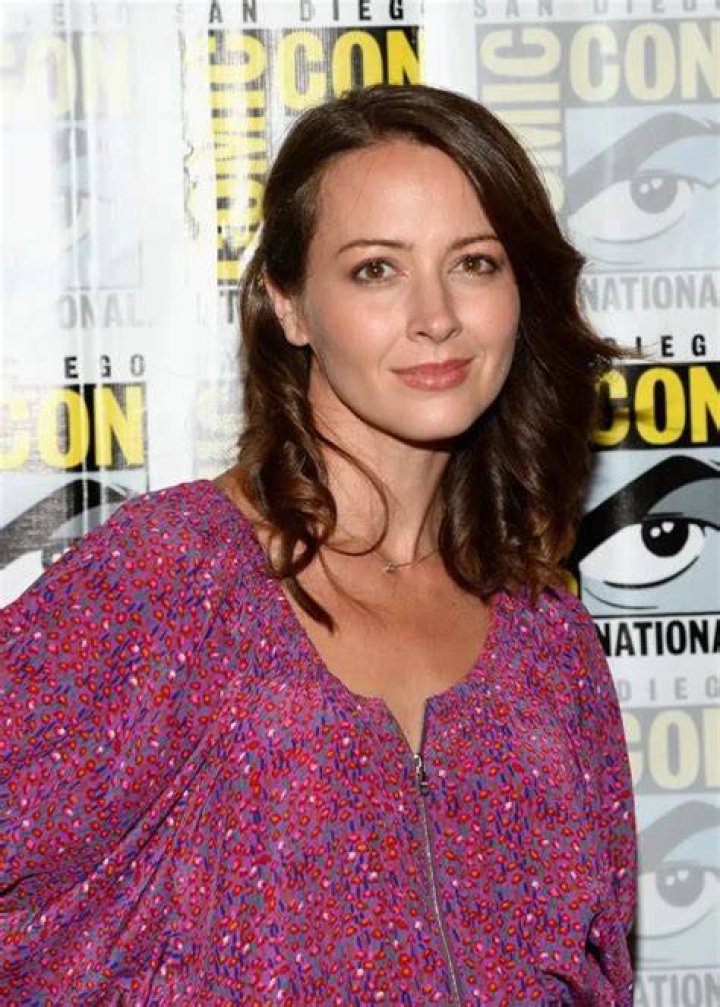 Amy Acker Height, Age, Net Worth, Affair, Family and More