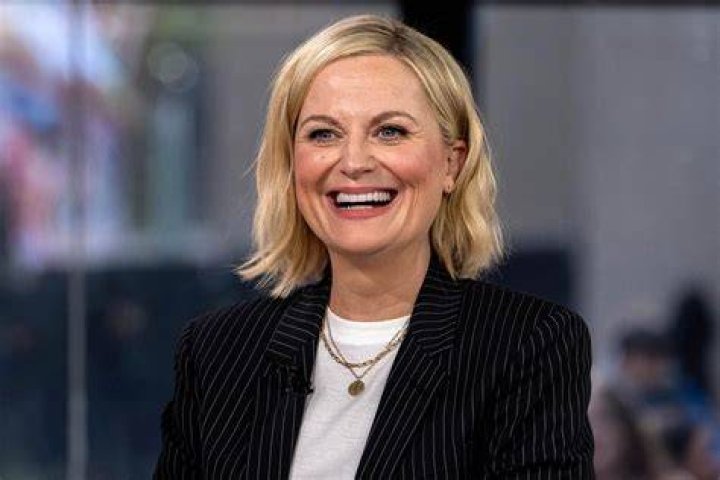 Amy Poehler Has a 'Parks and Recreation' Reunion in the Works&hellip;Kinda