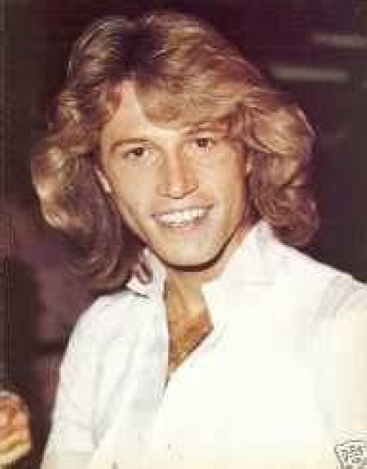 Andy Gibb Biography, Life, Interesting Facts ·