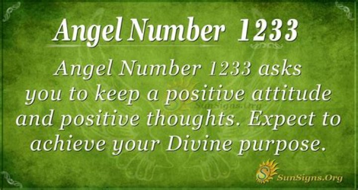 ANGEL NUMBER 1233 ·