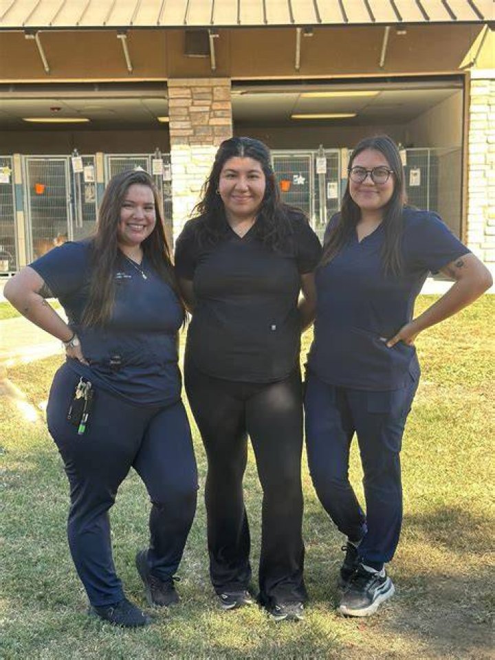 Animal Services Irving, TX Official Website