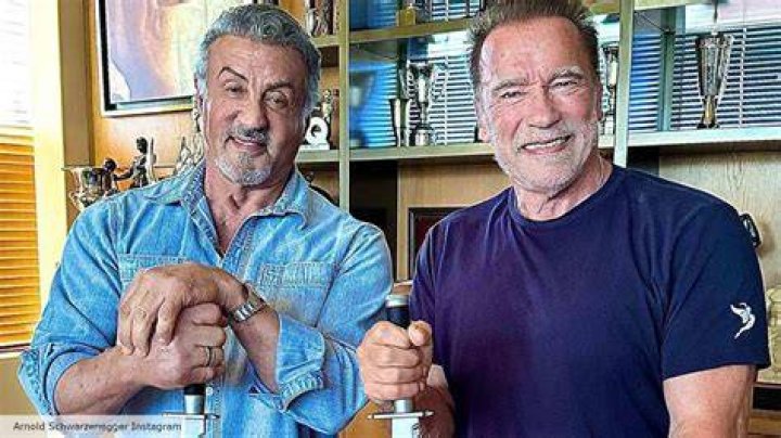 Arnold Reaches Out After Stallone's Oscars Loss Muscle & Fitness