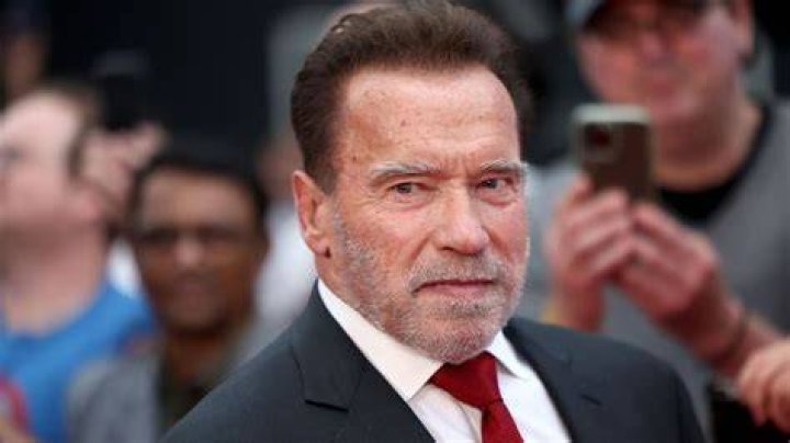Arnold Schwarzenegger Denies He Used State Funds to Cover Up Affairs