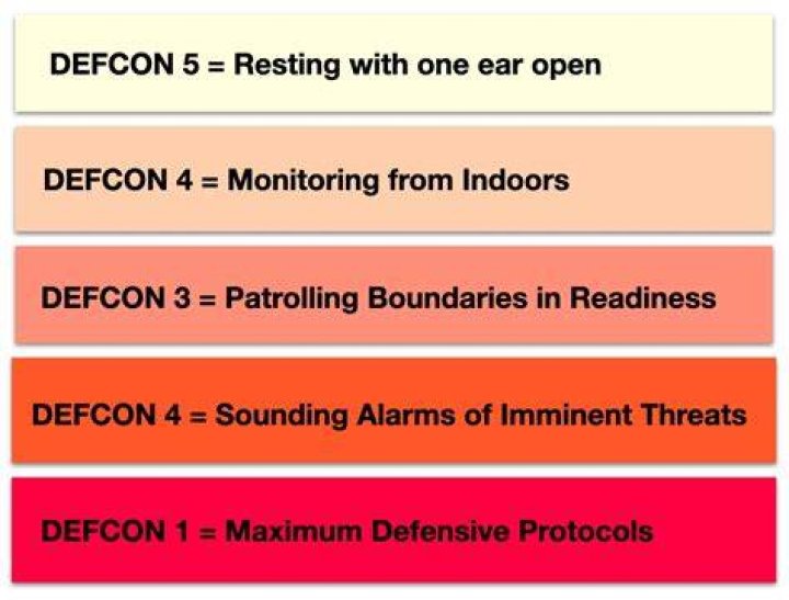 At Defcon 5 After Learning ChrisChan Was Bailed Out Of Prison