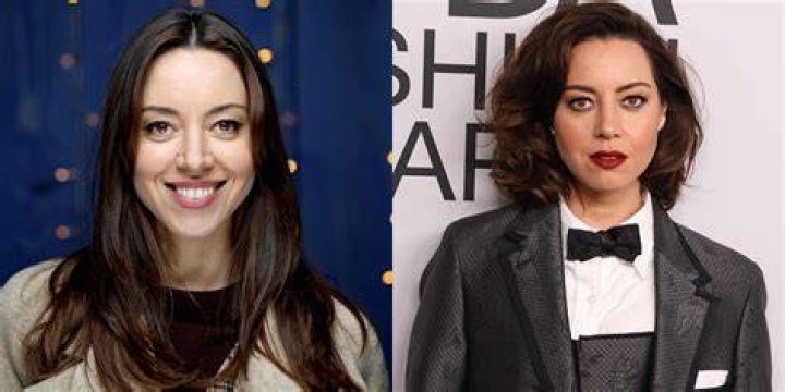 Aubrey Plaza Celebrity Hairstyle Changes 2013 POPSUGAR Beauty Photo 49