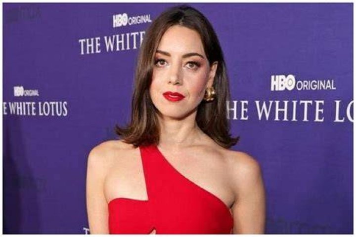 Aubrey Plaza Net Worth Celebrity Net Worth