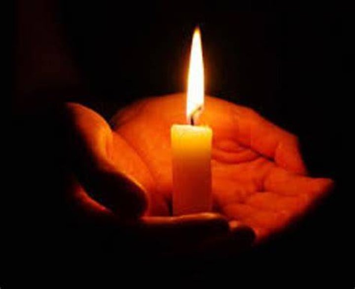Austin Stefano Obituary Death Cause and Accident