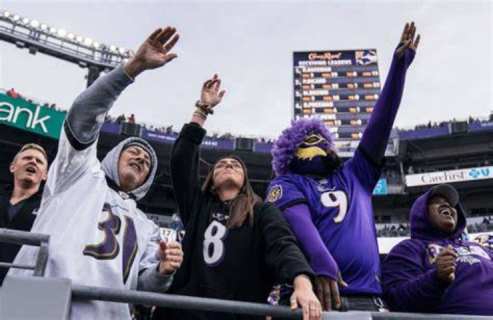 Baltimore Ravens Fan Takes A Tumble During The Game [VIDEO]