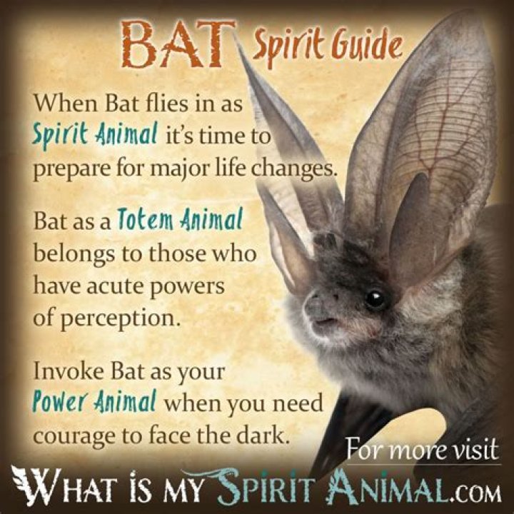 Bat Spirit Animal Totem Meaning: Hidden Desires
