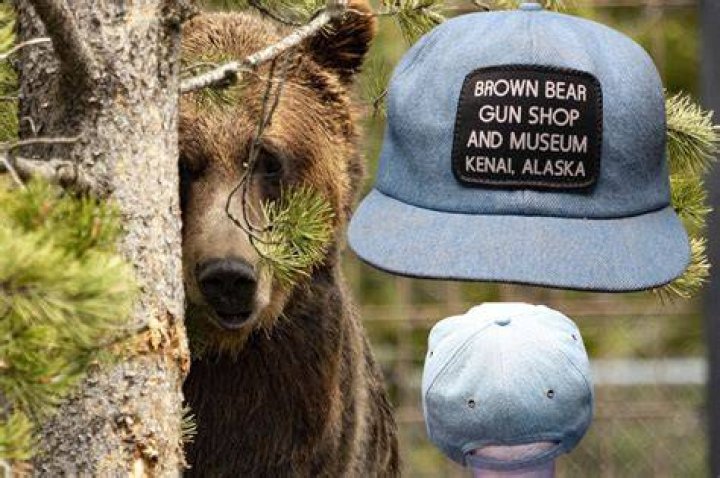 Bear Brown Accused Of Gun Intimidation; Is Alaskan Bush People