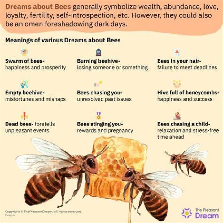 Bee Dream Meanings | SnogBlogy