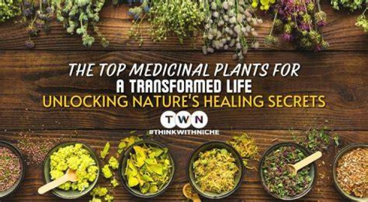 Beverly Root: Unlocking Nature's Healing Secrets