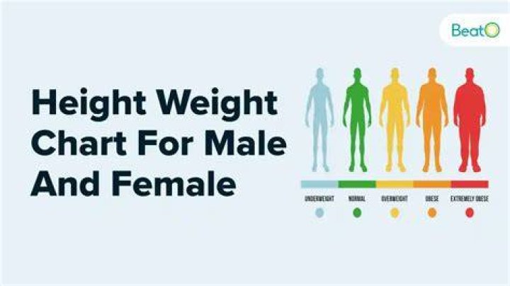 Beyond Height, Weight, And Personal Details