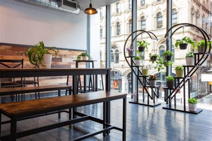 Bloom Cafe Cafes in Manchester Creative Tourist