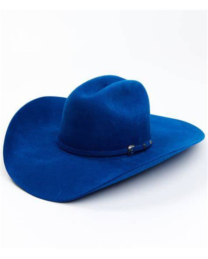 Blue MAGAStyle BidenHarris Hats Fall Flat The Daily Caller