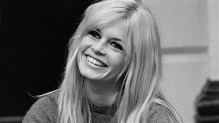 brigitte bardot Google Search in 2020 Nose contouring, Body types