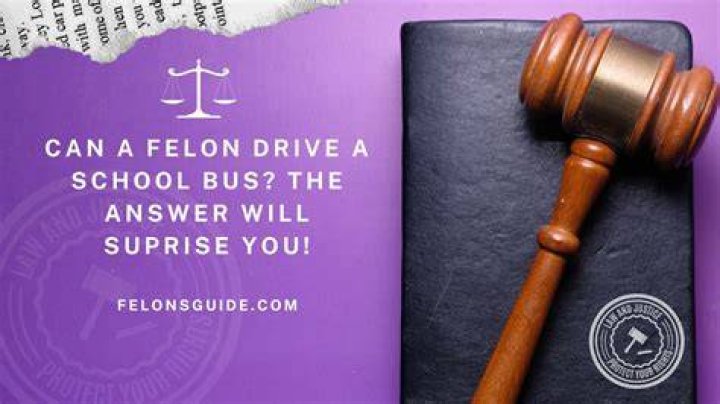 can the felon drive for uber