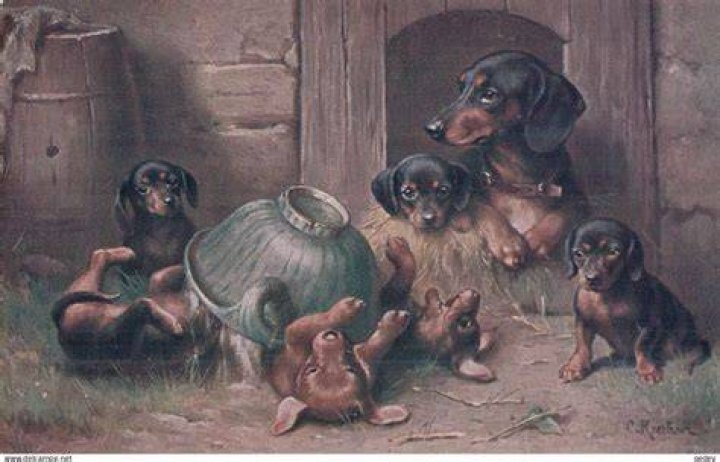 Carl Reichert chien famille Dog paintings, Dog drawing, Dog art
