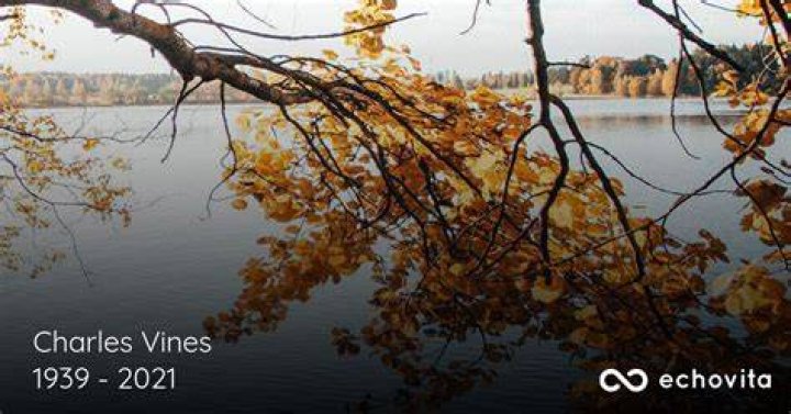 Charles Vines Obituary (1939 2021) Harrison, Arkansas