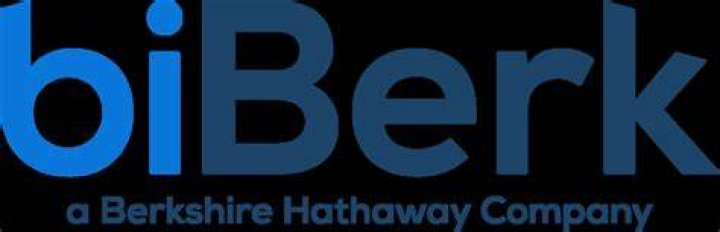 Companies like biBERK aim to make buying insurance, paying claims