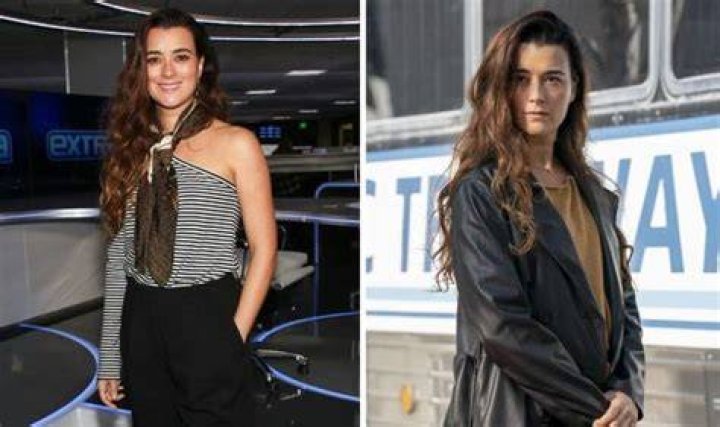 Cote de Pablo children Does the NCIS Ziva David star have kids? TV