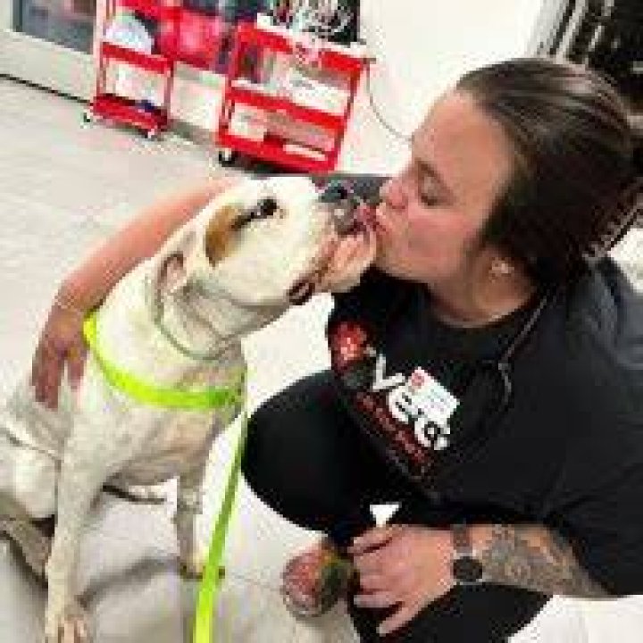 Courtney Fisher, RVT posted on LinkedIn