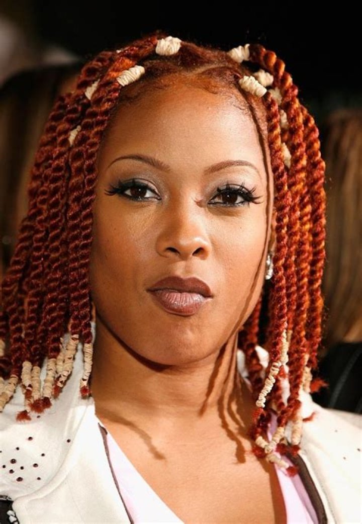 Da Brat iconic hairstyle Hair styles, Natural hair styles, Braid styles