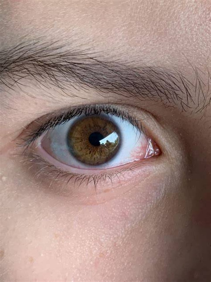 dark hazel amber eye eyes Pinterest Amber eyes, Amber and Eye