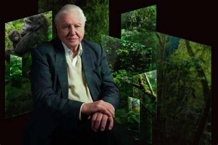 David Attenborough Mafab.hu