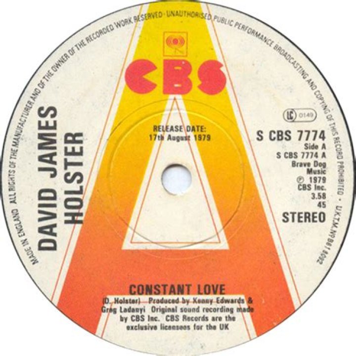 David James Holster Constant Love (1979, Terre Haute Pressing, Vinyl