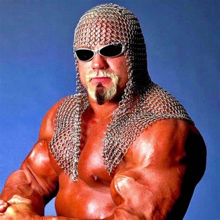 Discoveries And Insights Of Scott Steiner