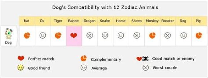 dog love compatibility