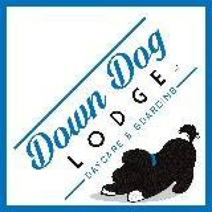DOWN DOG LODGE 24 Photos & 42 Reviews 1501 El Segundo Blvd, El