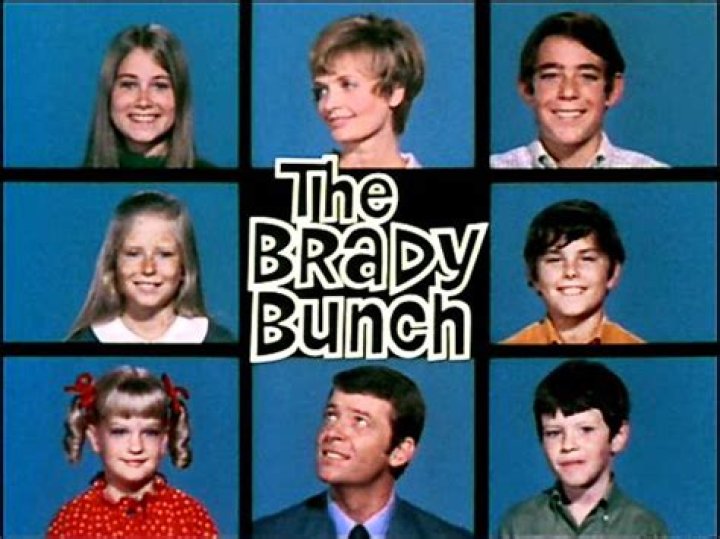 Download Brady Bunch In Guest Interview Wallpaper