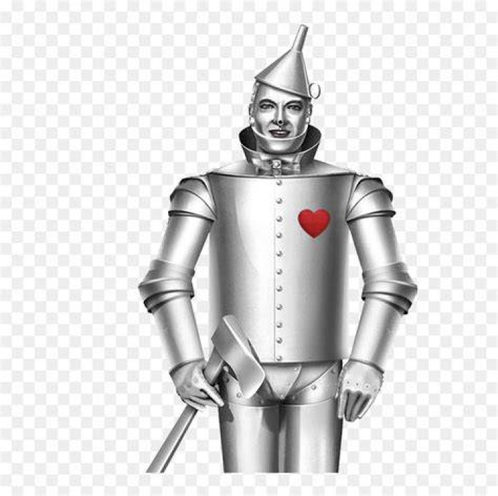 Download Contact Tin Man Photography Today To Find Out More Tin Man