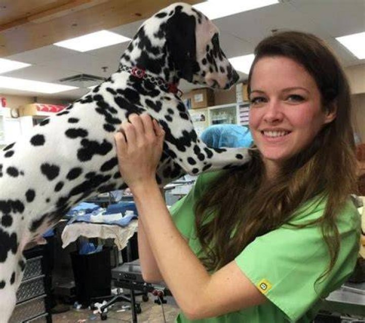Dr. Amy Hutcheson Vet Wiki-Bio, age, husband, career, net worth.